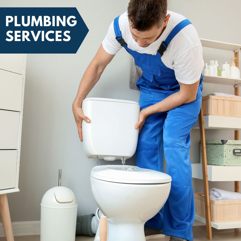 Plumbing Company in Phoenix, AZ