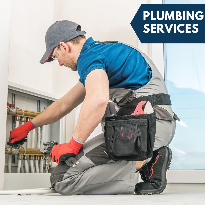 Phoenix Plumbing Company